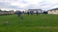Norbreck Canine Centre. The North East Dog Training & Activity Centre for Northumberland & Newcastle